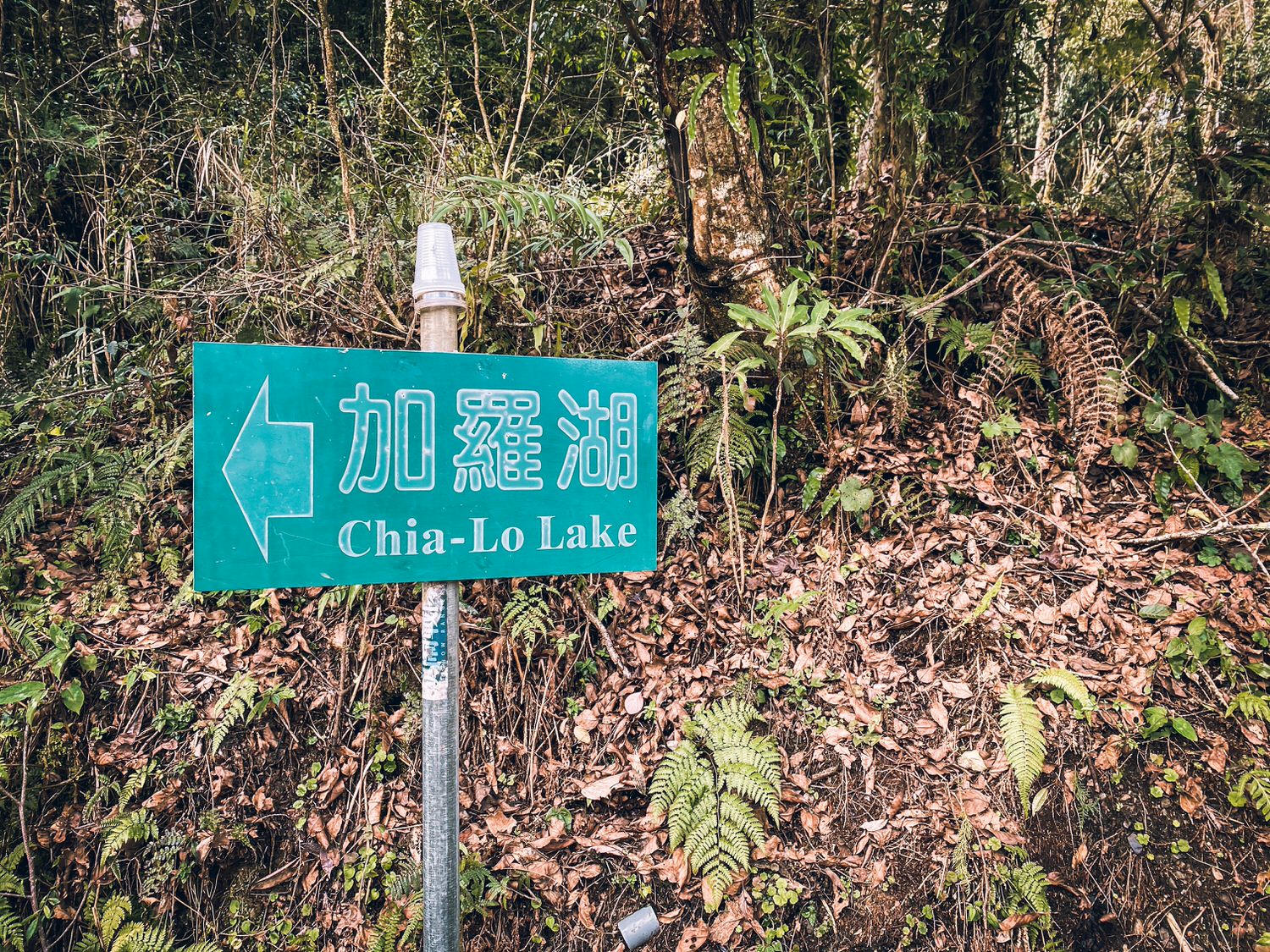 【中級山紀錄】冬天加羅湖兩天一夜，追雪尚未成功的寒冷野營 | Trip to Lake Chialo