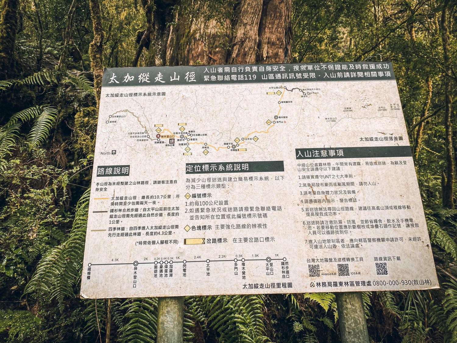 【中級山紀錄】冬天加羅湖兩天一夜，追雪尚未成功的寒冷野營 | Trip to Lake Chialo