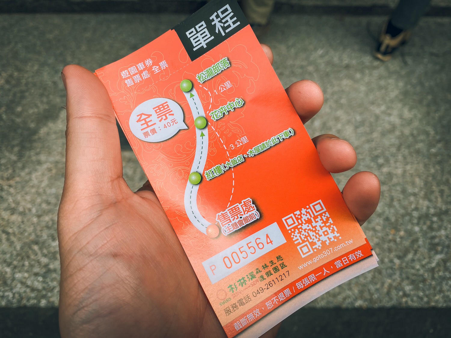 【中級山資訊】水漾森林基本介紹，枯木堰塞之湖之夢話森林 | Introduction of Shuiyang Forest