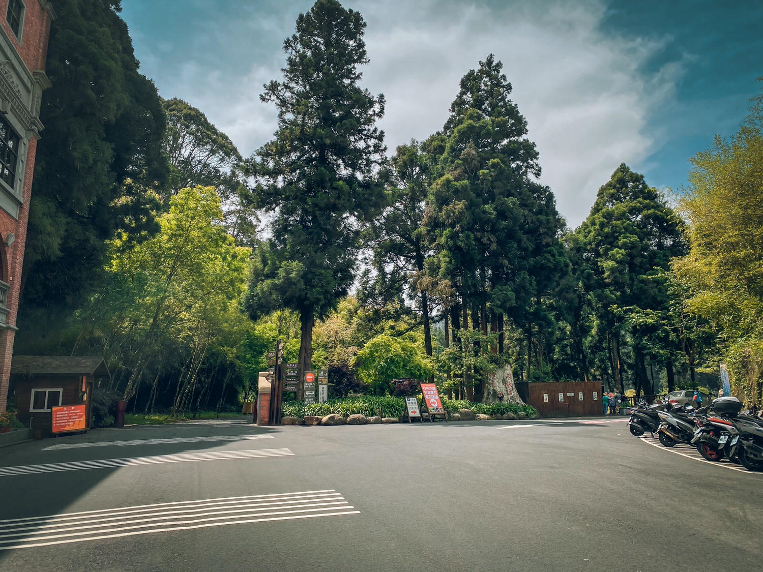 【中級山資訊】水漾森林基本介紹，枯木堰塞之湖之夢話森林 | Introduction of Shuiyang Forest