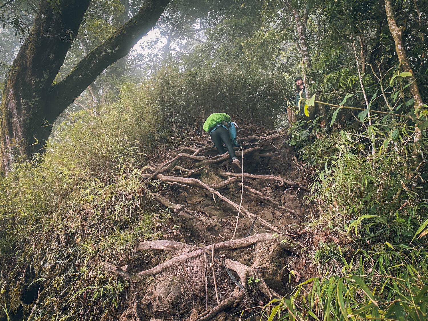 【中級山資訊】水漾森林基本介紹，枯木堰塞之湖之夢話森林 | Introduction of Shuiyang Forest