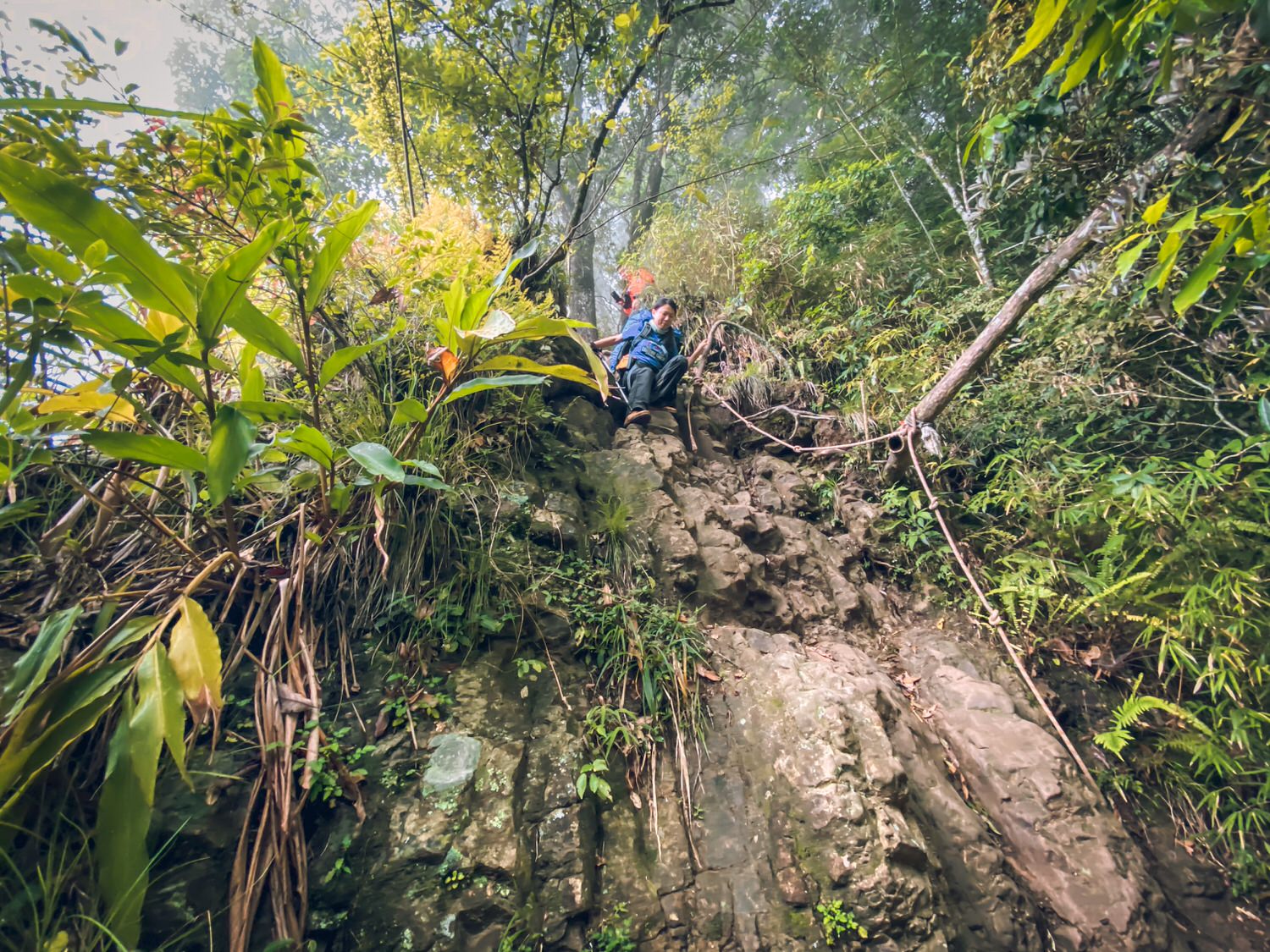 【中級山資訊】水漾森林基本介紹，枯木堰塞之湖之夢話森林 | Introduction of Shuiyang Forest